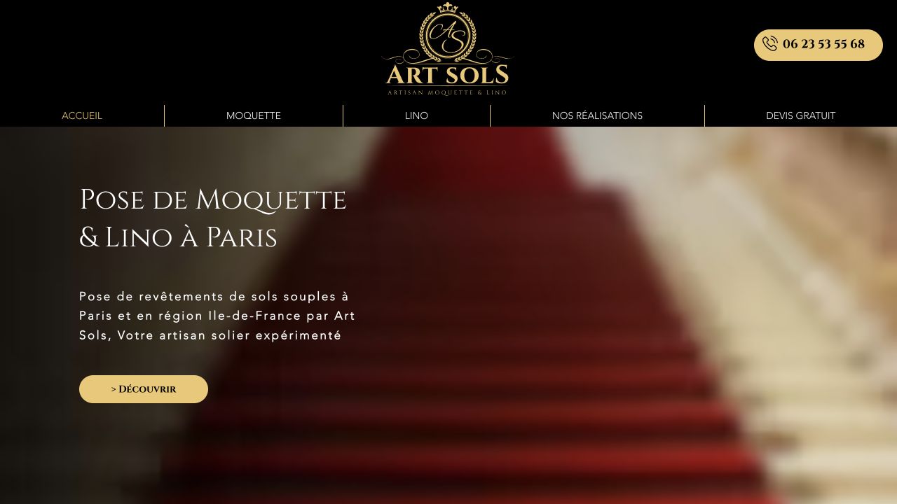 Capture du site de Art Sols